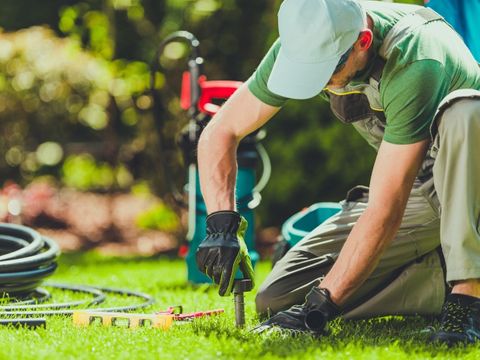 A professional irrigation technician in work gear carefully installing a new sprinkler head into a residential lawn during a system setup.