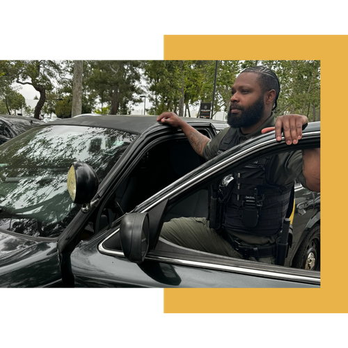 Security Consulting Services in Los Angeles 2.png