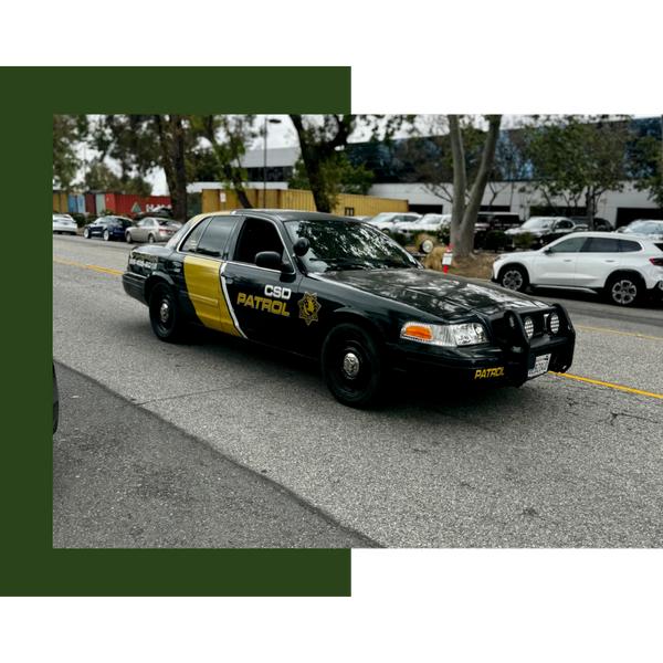 Security Consulting Services in Los Angeles 3.png