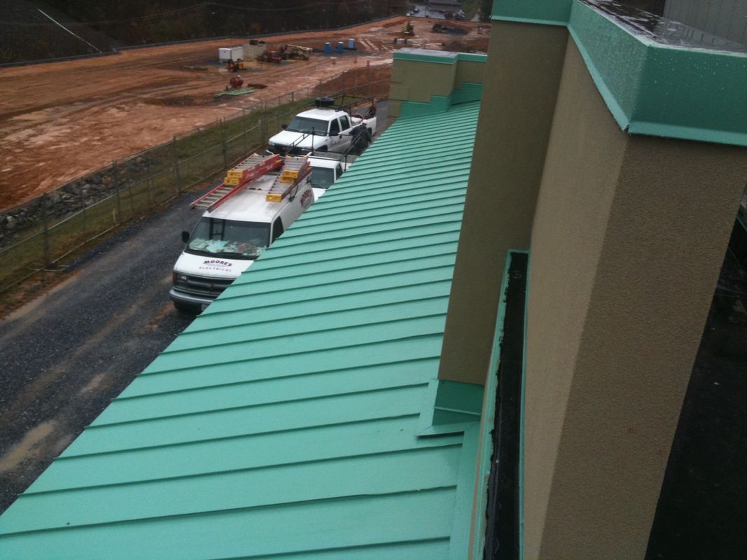 IMG_0452-2000x1500 (1).jpg