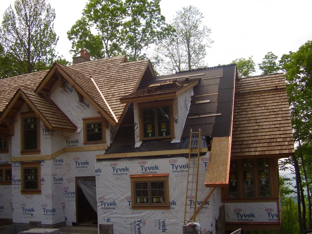 Cedar-2000x1500 (1).jpg