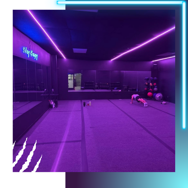 BeastMode Fitness room.