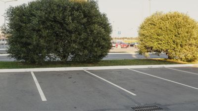 Parking lines