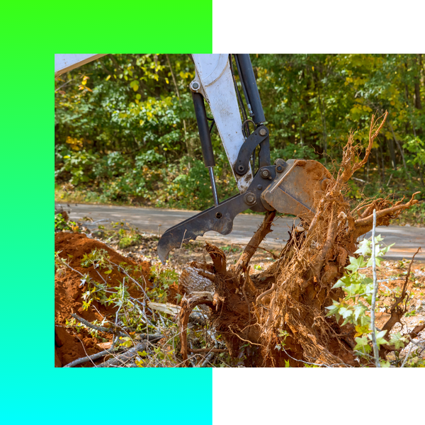 Land Clearing image3.png
