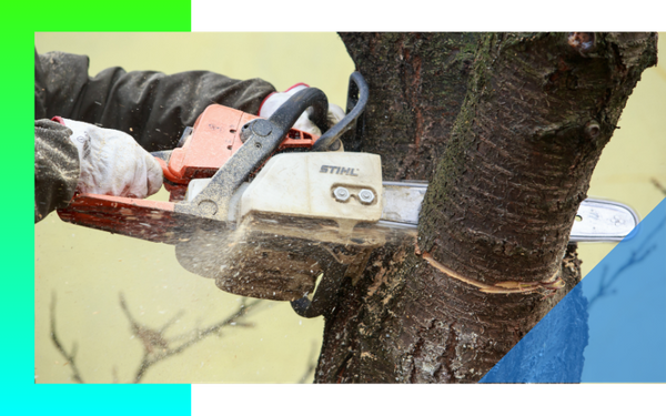 Storm Damage Tree Removal Portage MI Page 3.png