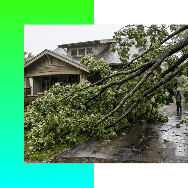 Storm Damage Tree Removal Battle Creek MI PB Image 1.png