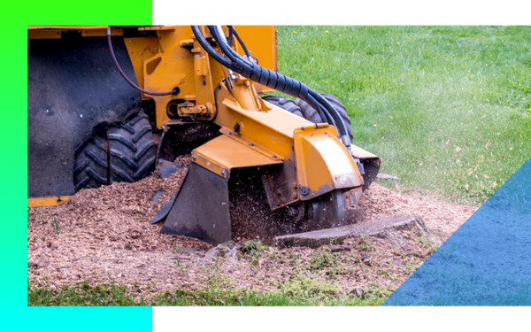 image of stump grinding