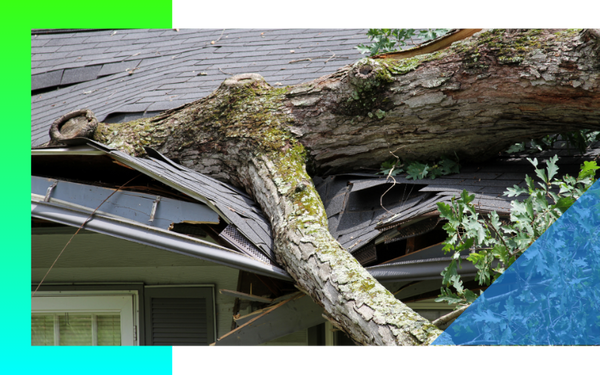 Storm Damage Tree Removal Portage MI Page 1.png