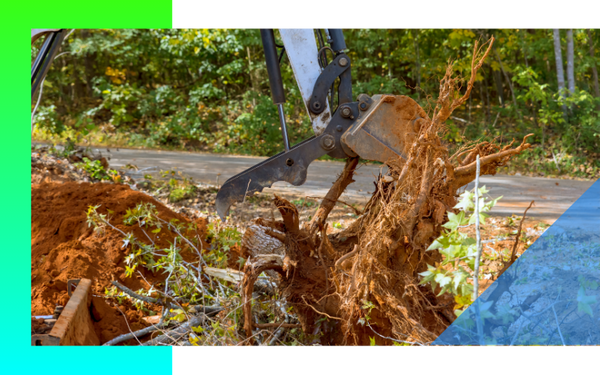 stump excavation
