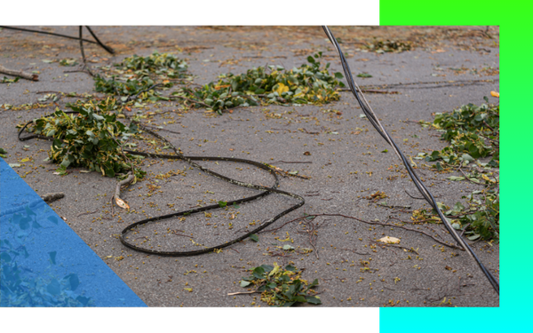 Storm Damage Tree Removal Portage MI Page 2.png