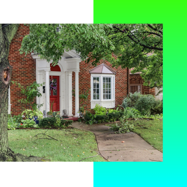 Storm Damage Tree Removal 3.png