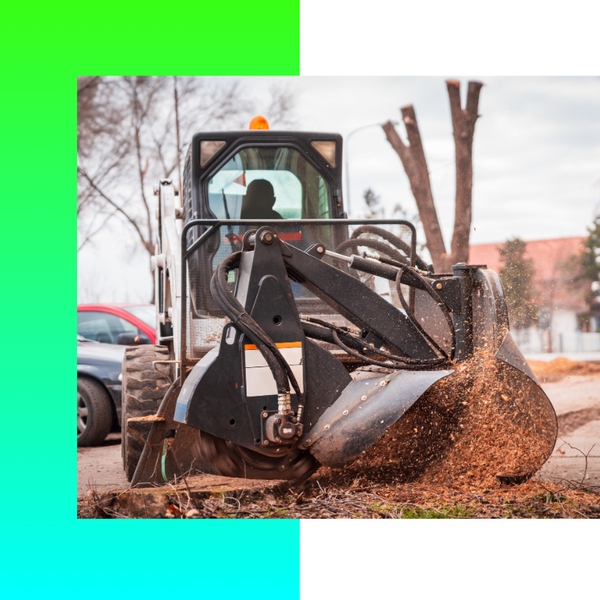 Commercial Tree Removal image1.png
