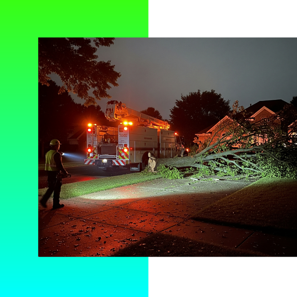 Storm Damage Tree Removal 1.png