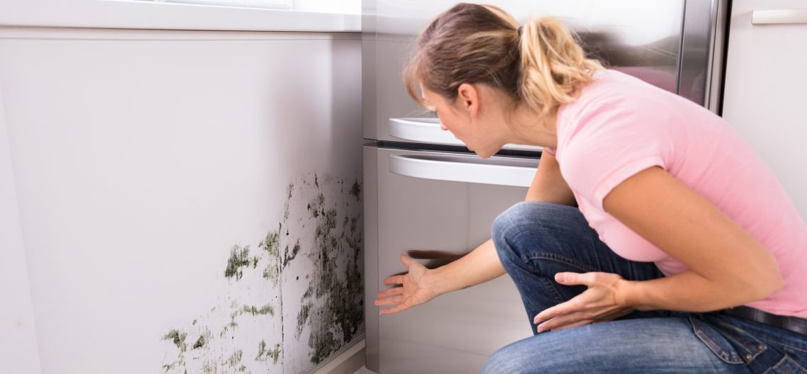 Image of a woman looking at mold