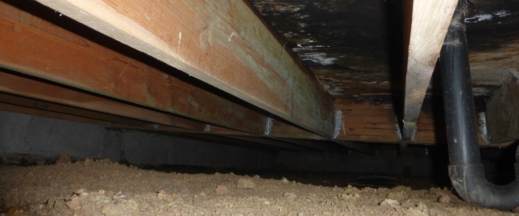 Black Mold In A Crawl Space