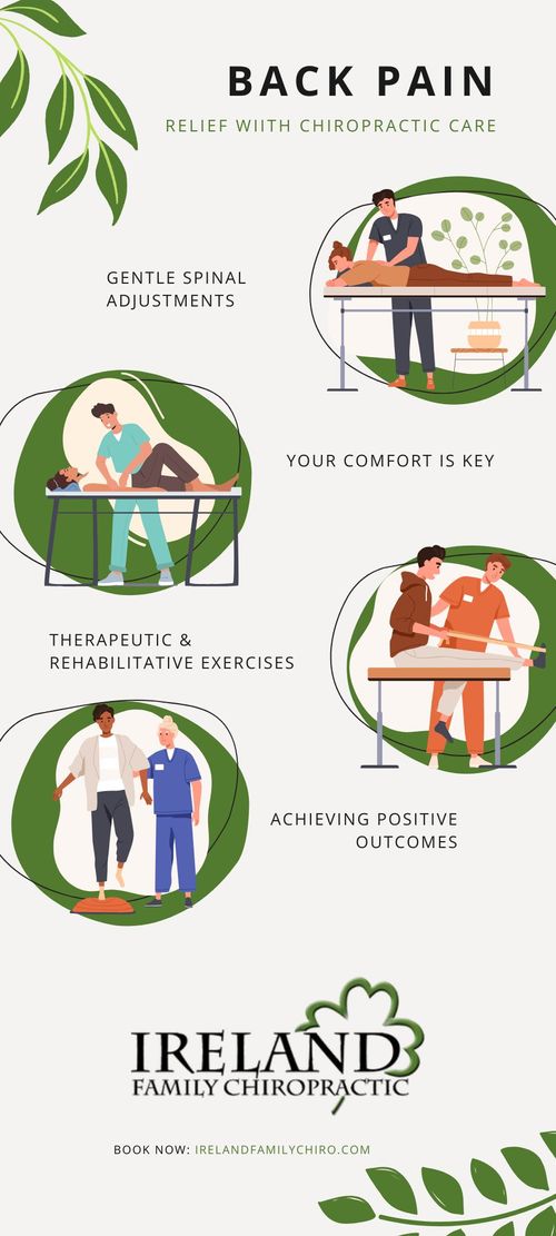 Chiropractic Techniques for Back Pain Management Infographic.jpg