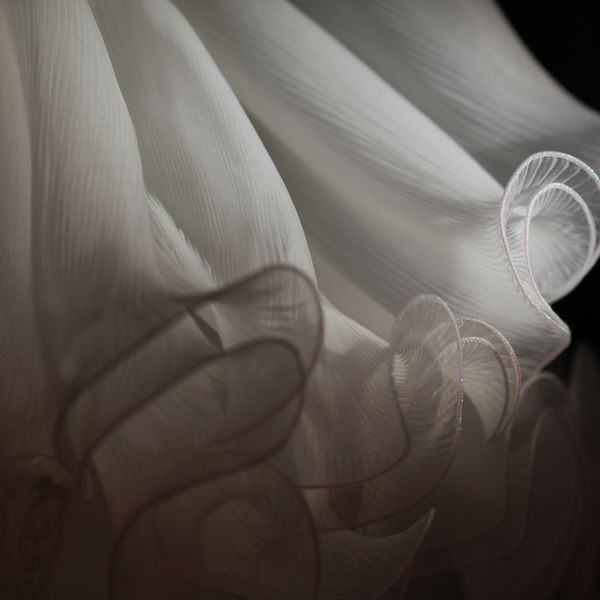 dress fabric dress fabric