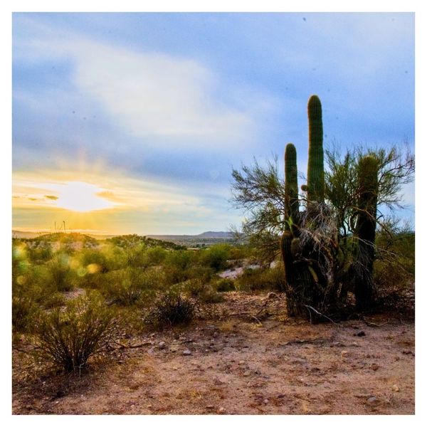 desert outside Wickenburg, Arizona