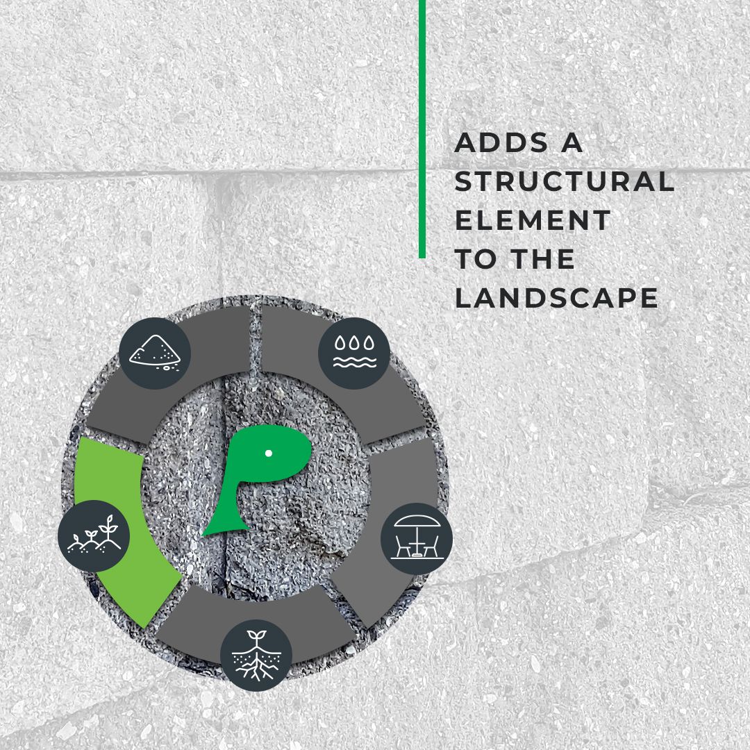 Slide 5.jpg