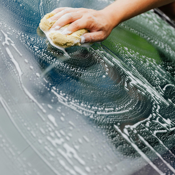 Prevent Windshield Chips & Cracks4.png