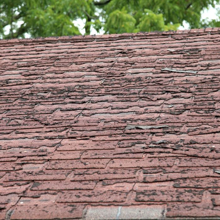 Signs Your Roof Needs to be Cleaned (4).jpg