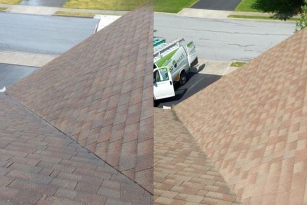 Before and after EvoluShingle spray