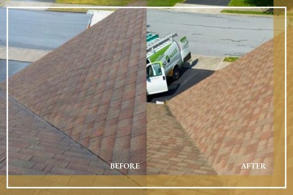 EvoluShingle package before and after comparison