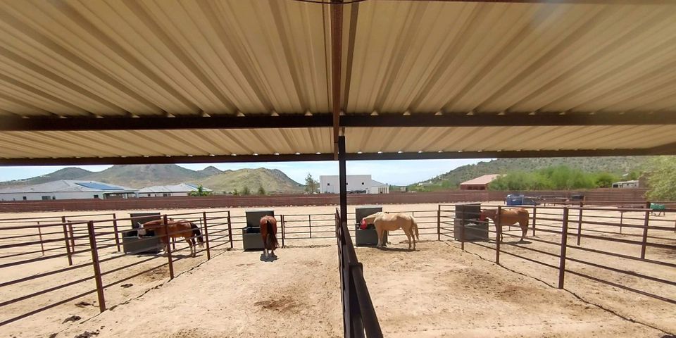 HayBox Horse Feeder vs Other Horse Feeders -hero.jpg