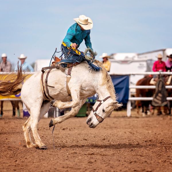 Man riding a horse at a rodeo