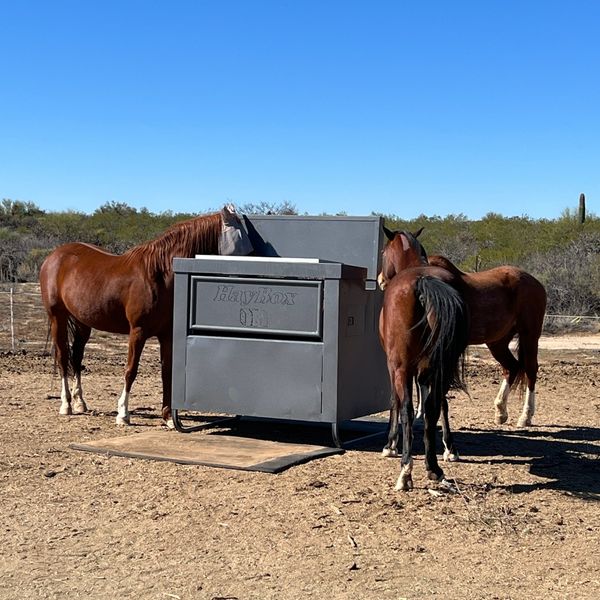 Reducing Hay Waste.jpg