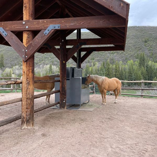 image1 - How HayBox Makes Horse Feeding a Breeze.jpg