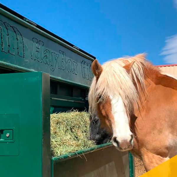 image3 - How HayBox Makes Horse Feeding a Breeze.jpg