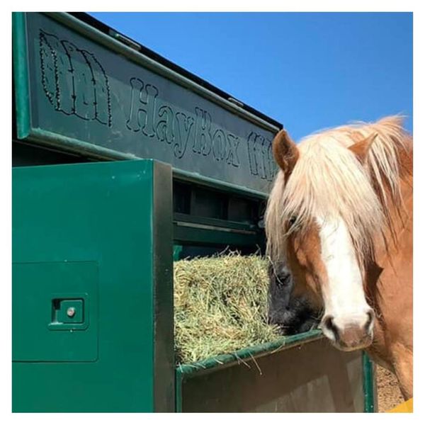 HayBox Horse Feeder vs others 1.jpg