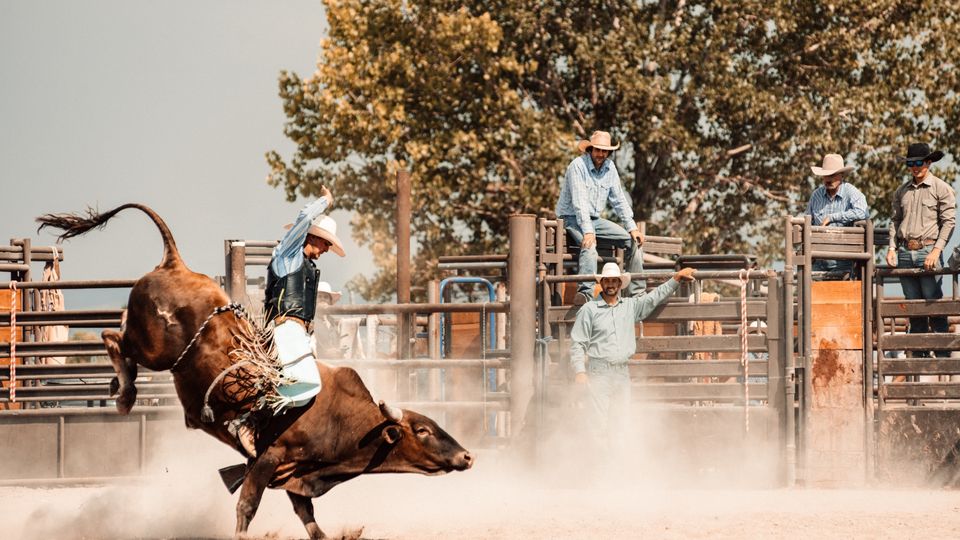 Man riding a bull at a rodeo