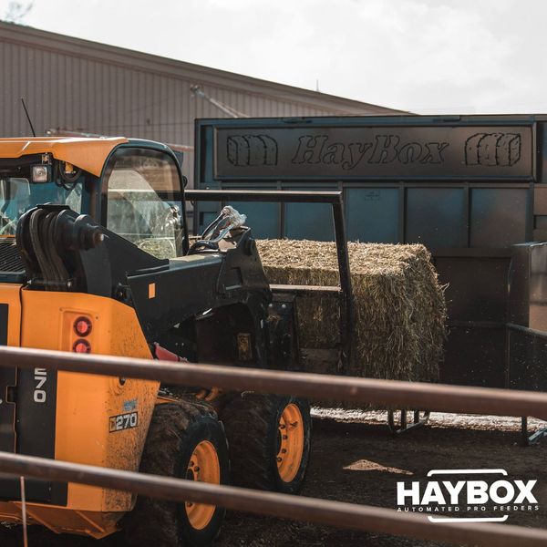 loading horse feeder with hay