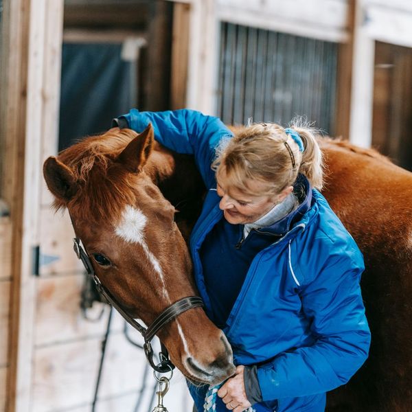 Woman petting a horse. 