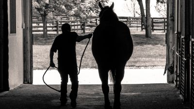 How EquiTwist Prepares You for Success in the Equine Industry - Featured Image.jpg