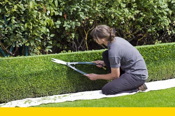 landscaper