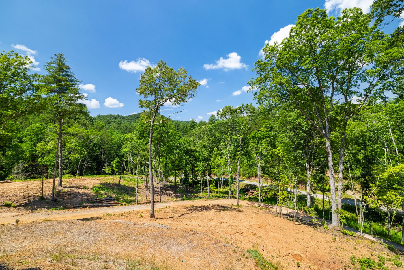 37.jpg