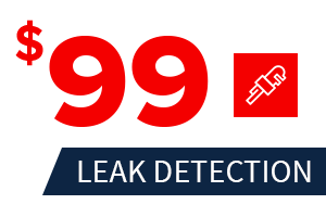 leakdetection.png