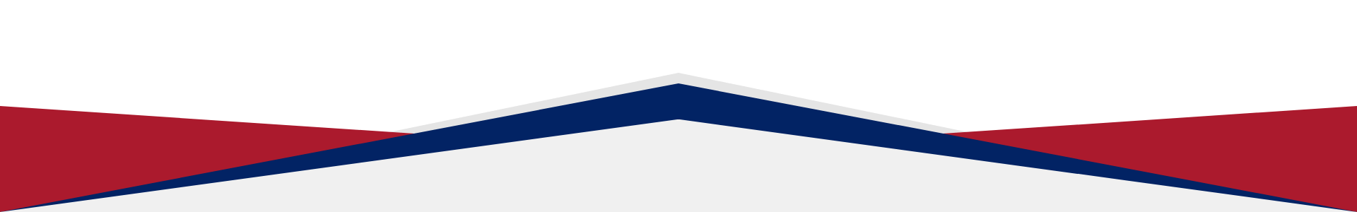 Top Divider Option 1 (1).png