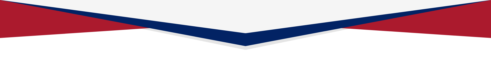 Top Divider Option 1.png
