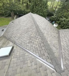 Residential roof cleaning Snohomish, WA