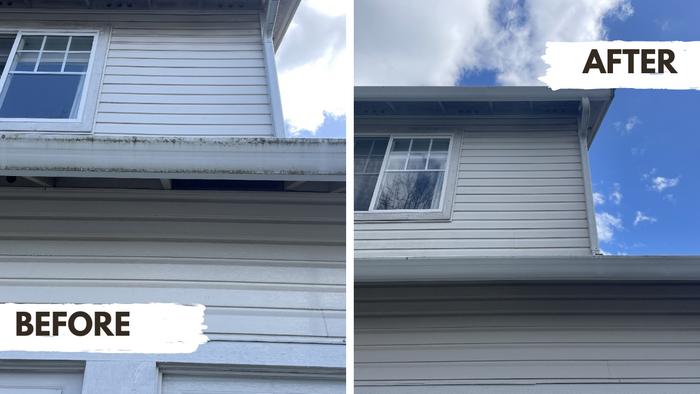 before and after 7.png