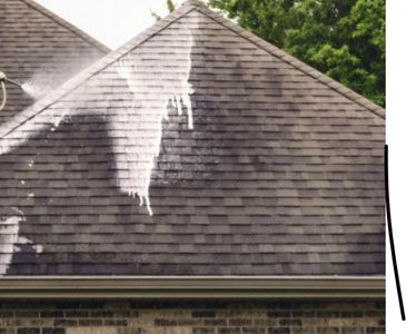 Affordable roof cleaning Snohomish, WA
