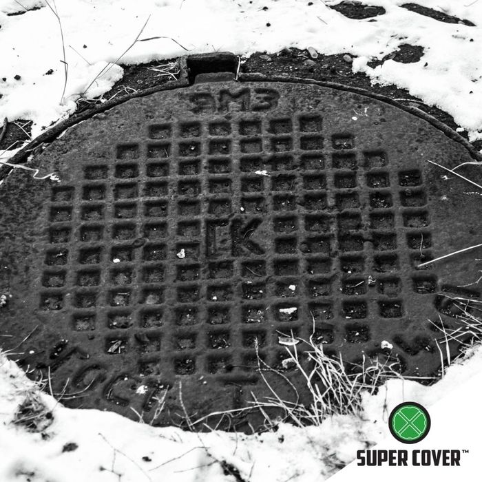 Cold Snap - IMG 2.jpg