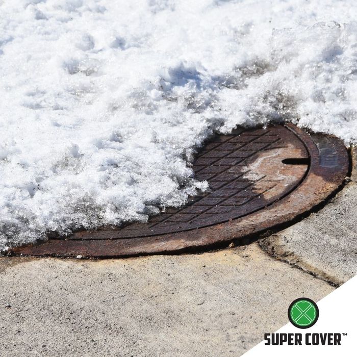 Cold Snap - IMG 3.jpg