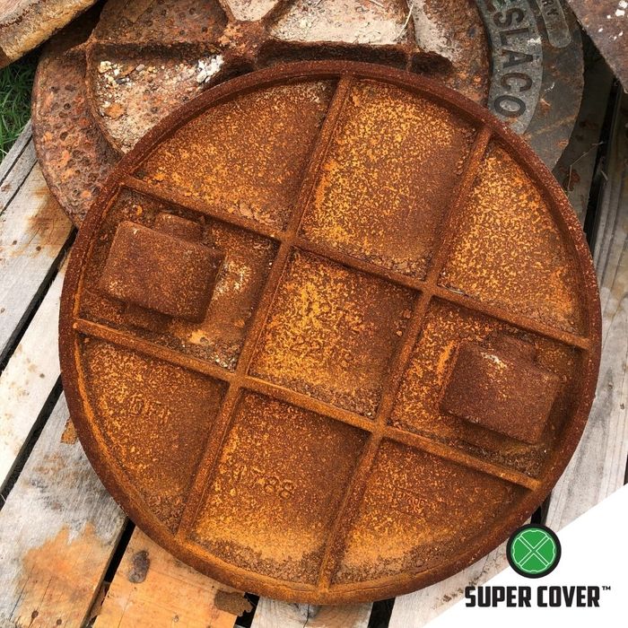 Cold Snap - IMG 1.jpg