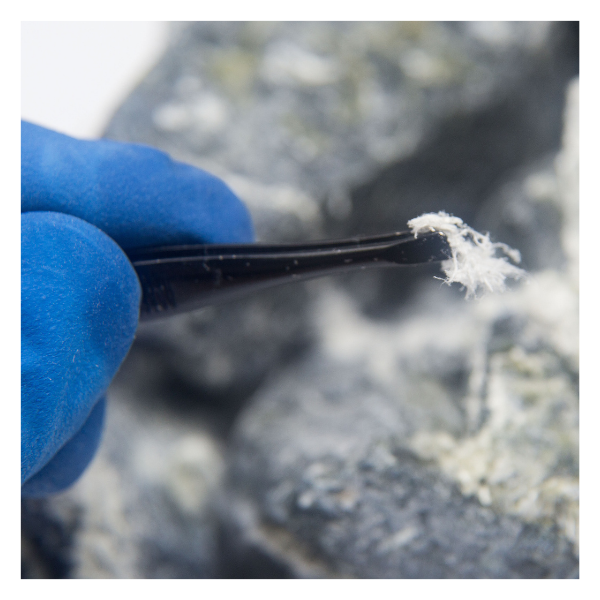 Technician holding asbestos with tweezers