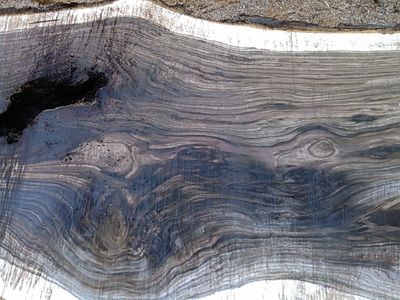 Dark wood slab